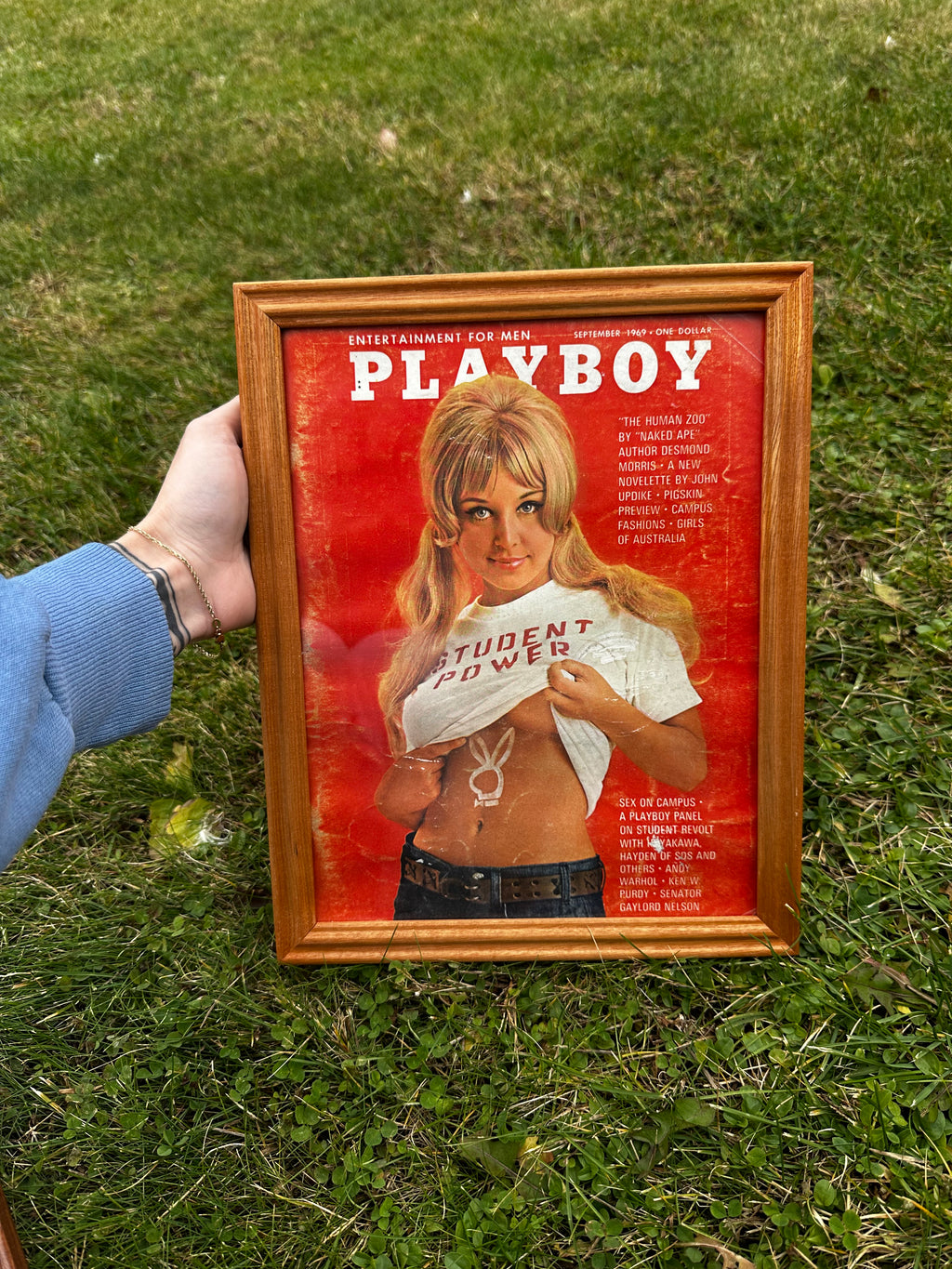Framed vintage playboy
