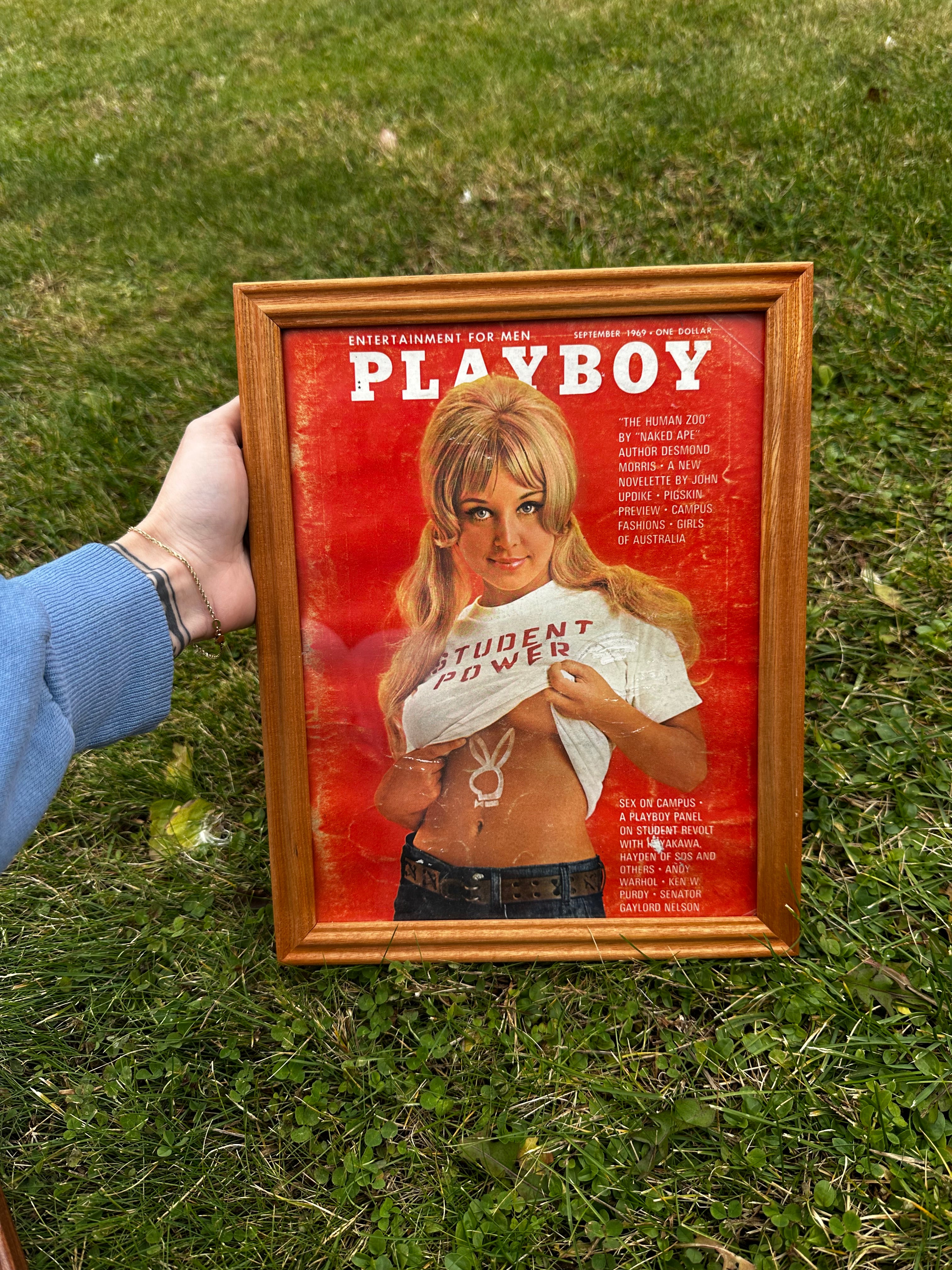 Framed vintage playboy