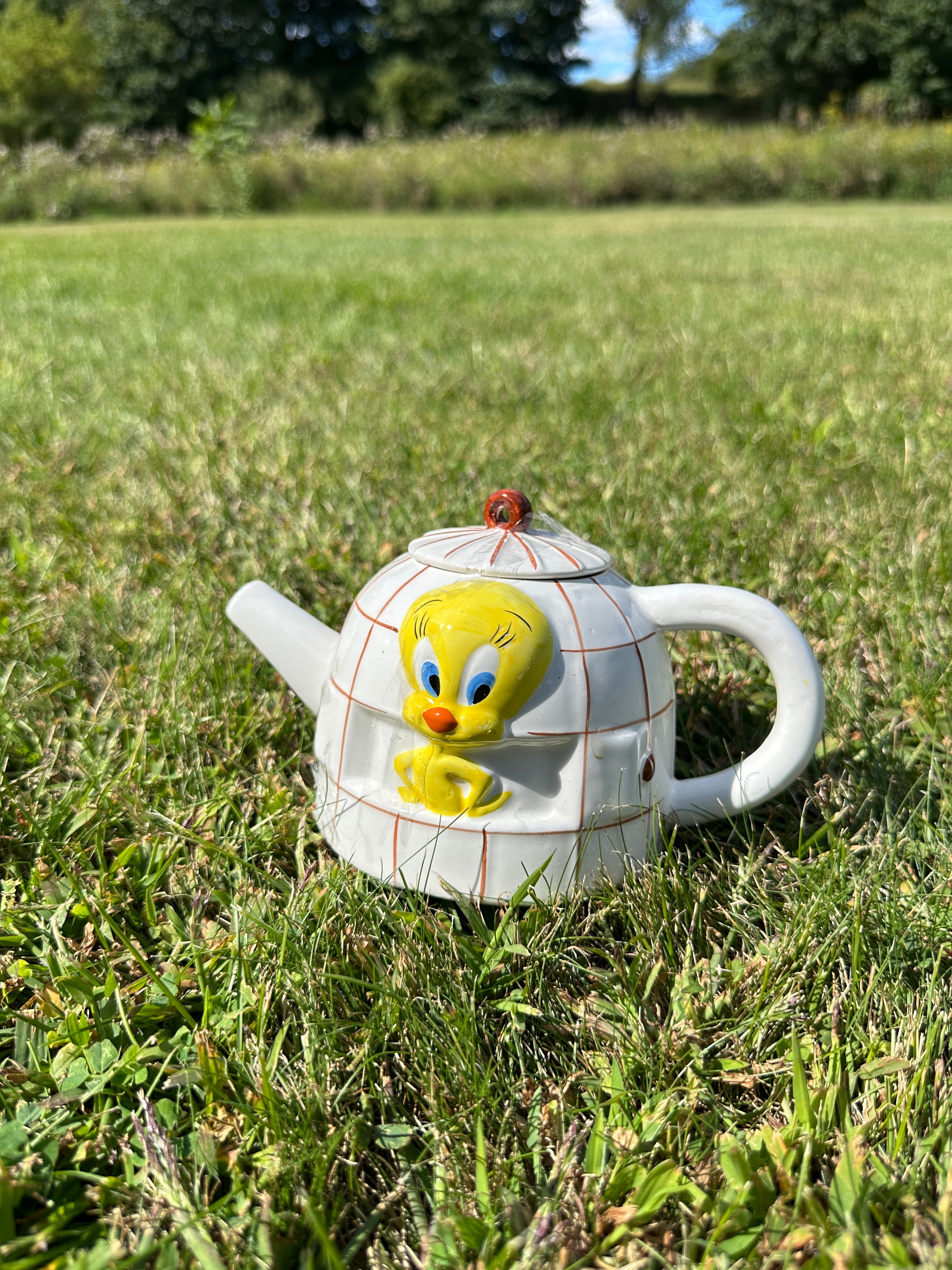 Tweety bird Teapot | Looney tunes