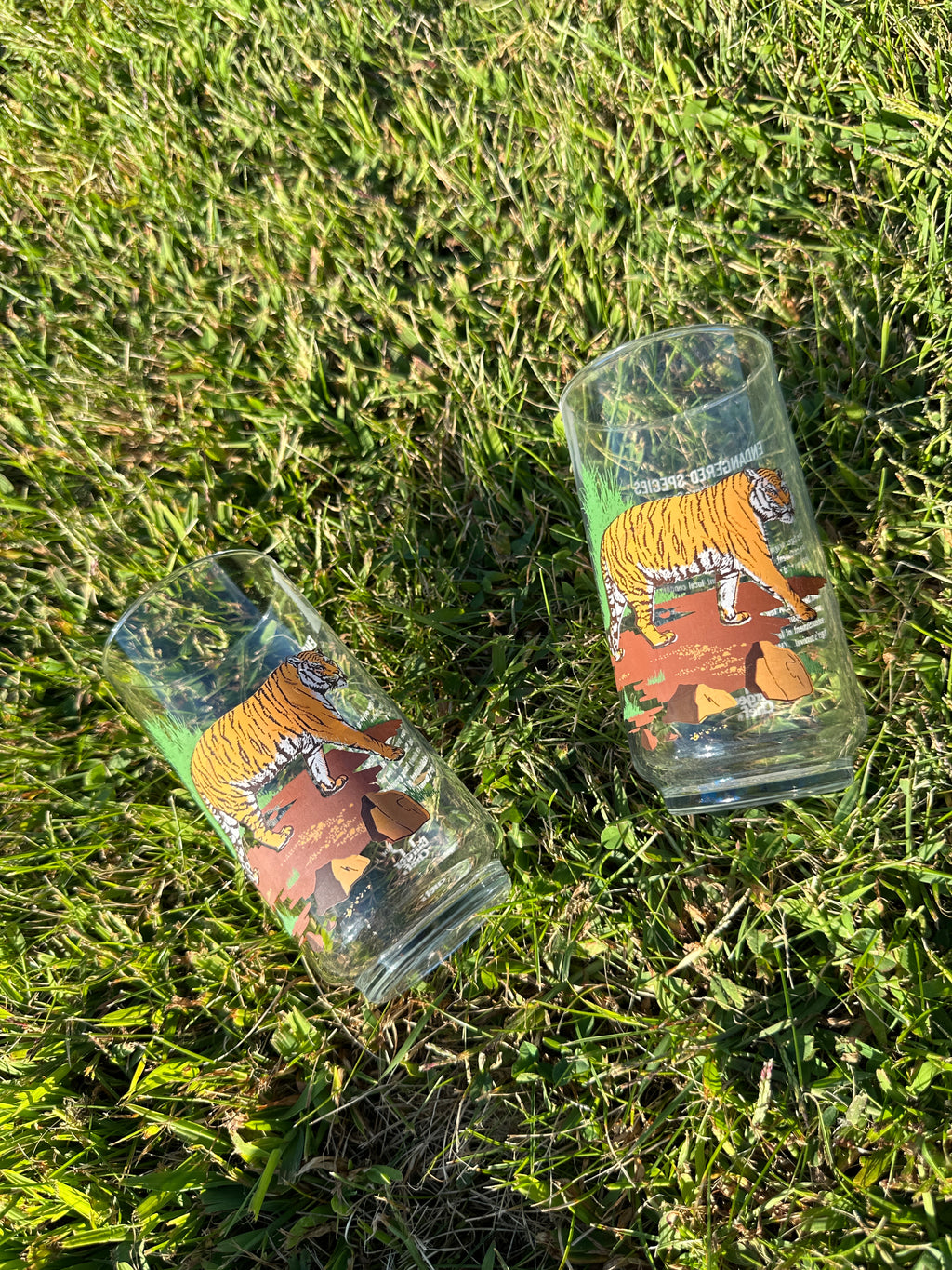Tiger Jungle Vintage Glasses – Set of 2 Wildlife Tumblers