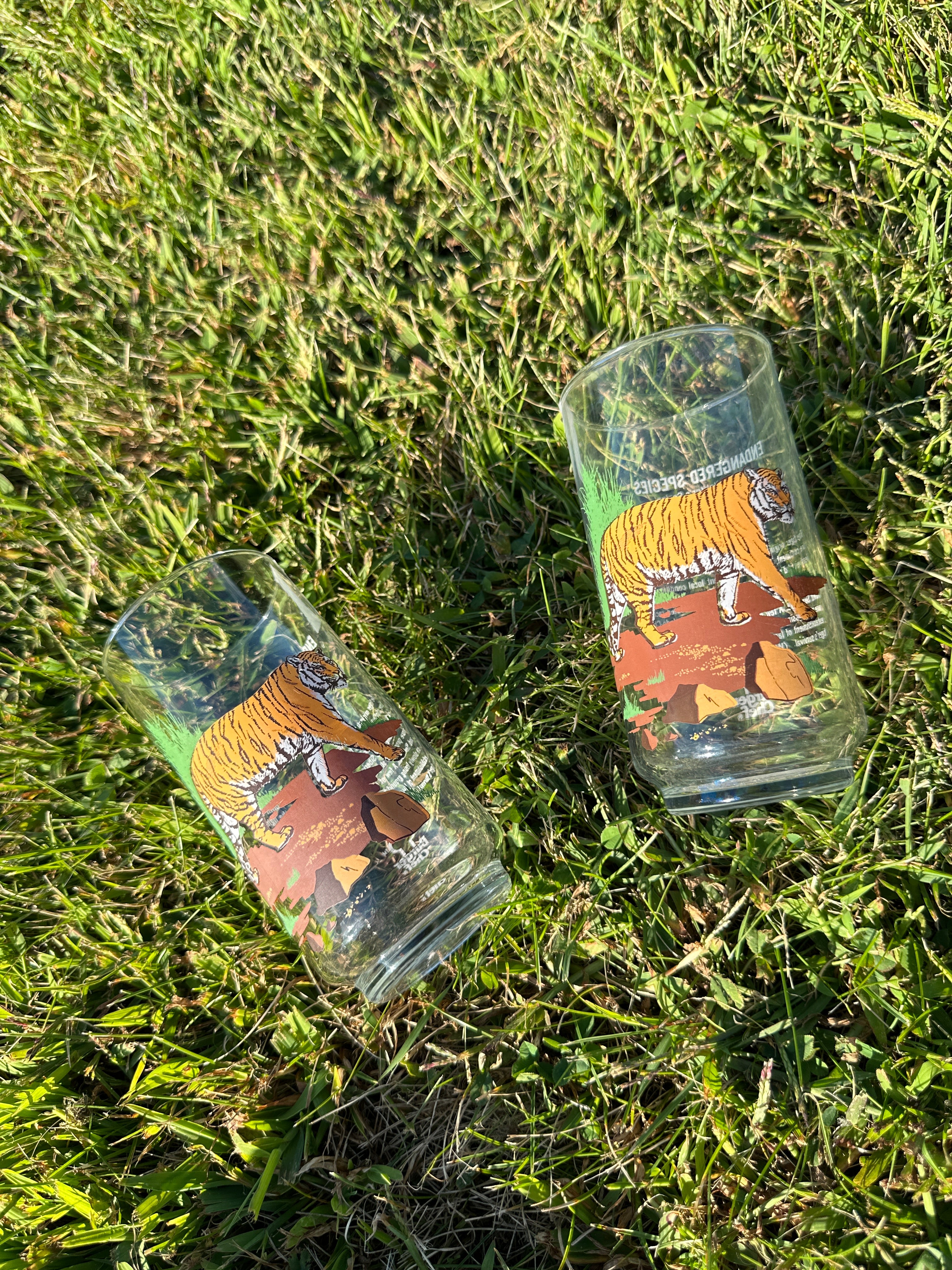 Tiger Jungle Vintage Glasses – Set of 2 Wildlife Tumblers