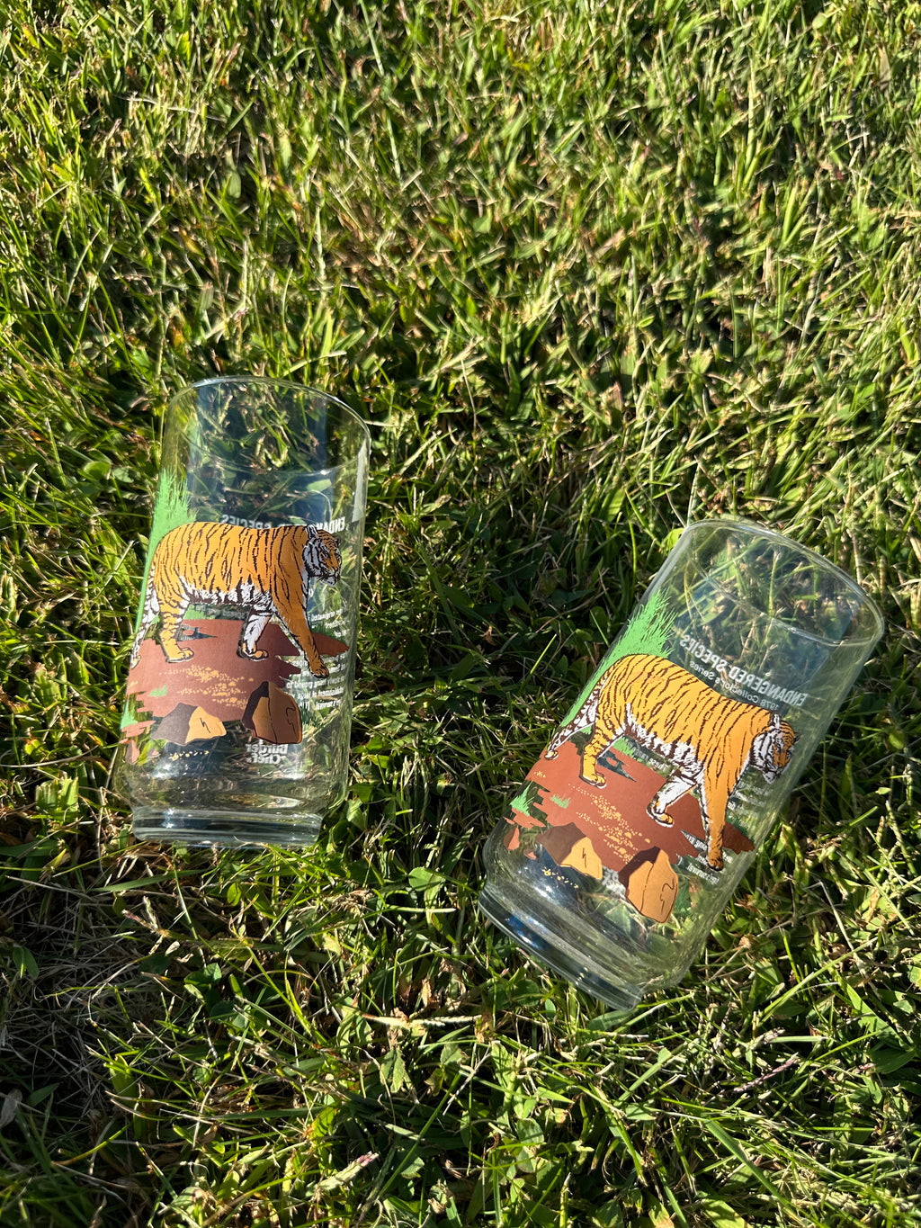 Tiger Jungle Vintage Glasses – Set of 2 Wildlife Tumblers