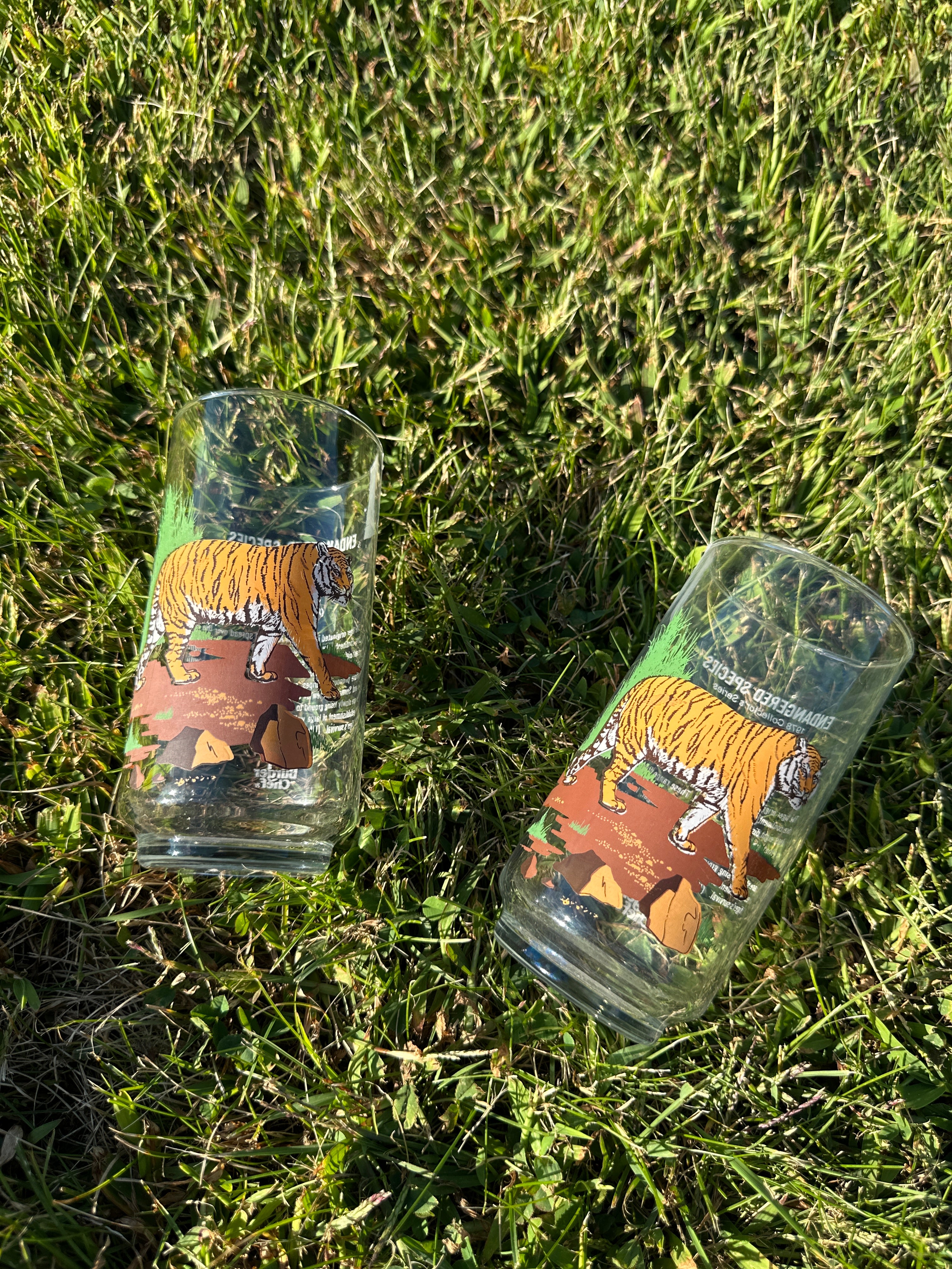Tiger Jungle Vintage Glasses – Set of 2 Wildlife Tumblers
