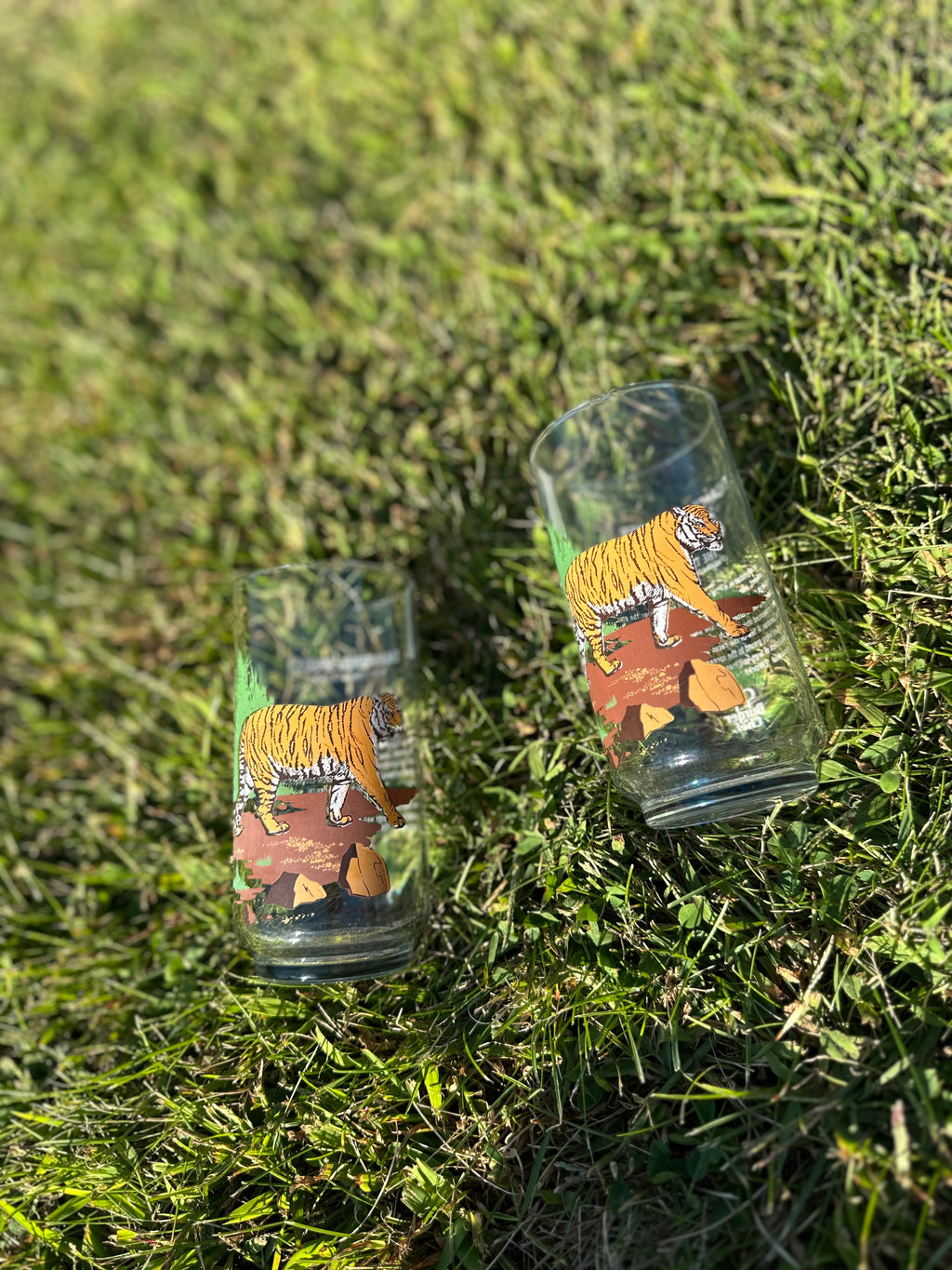 Tiger Jungle Vintage Glasses – Set of 2 Wildlife Tumblers