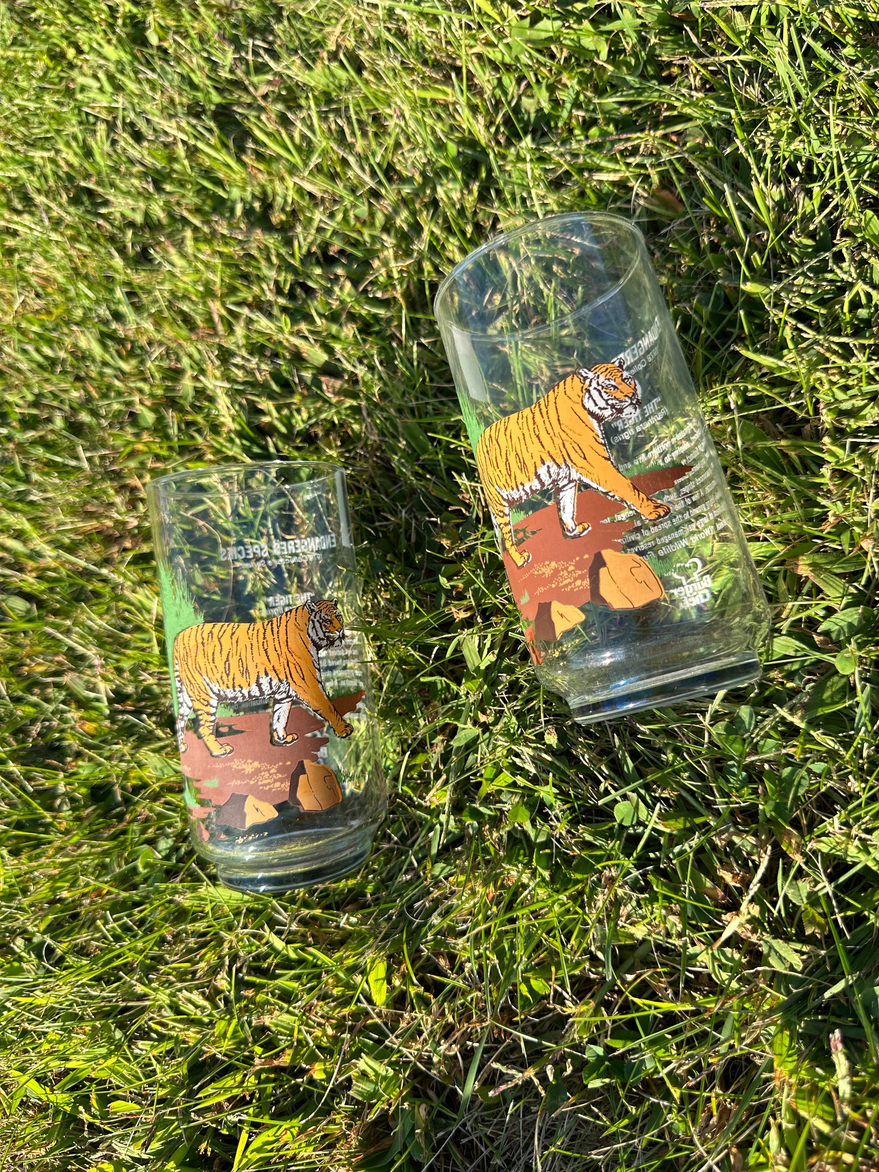 Tiger Jungle Vintage Glasses – Set of 2 Wildlife Tumblers