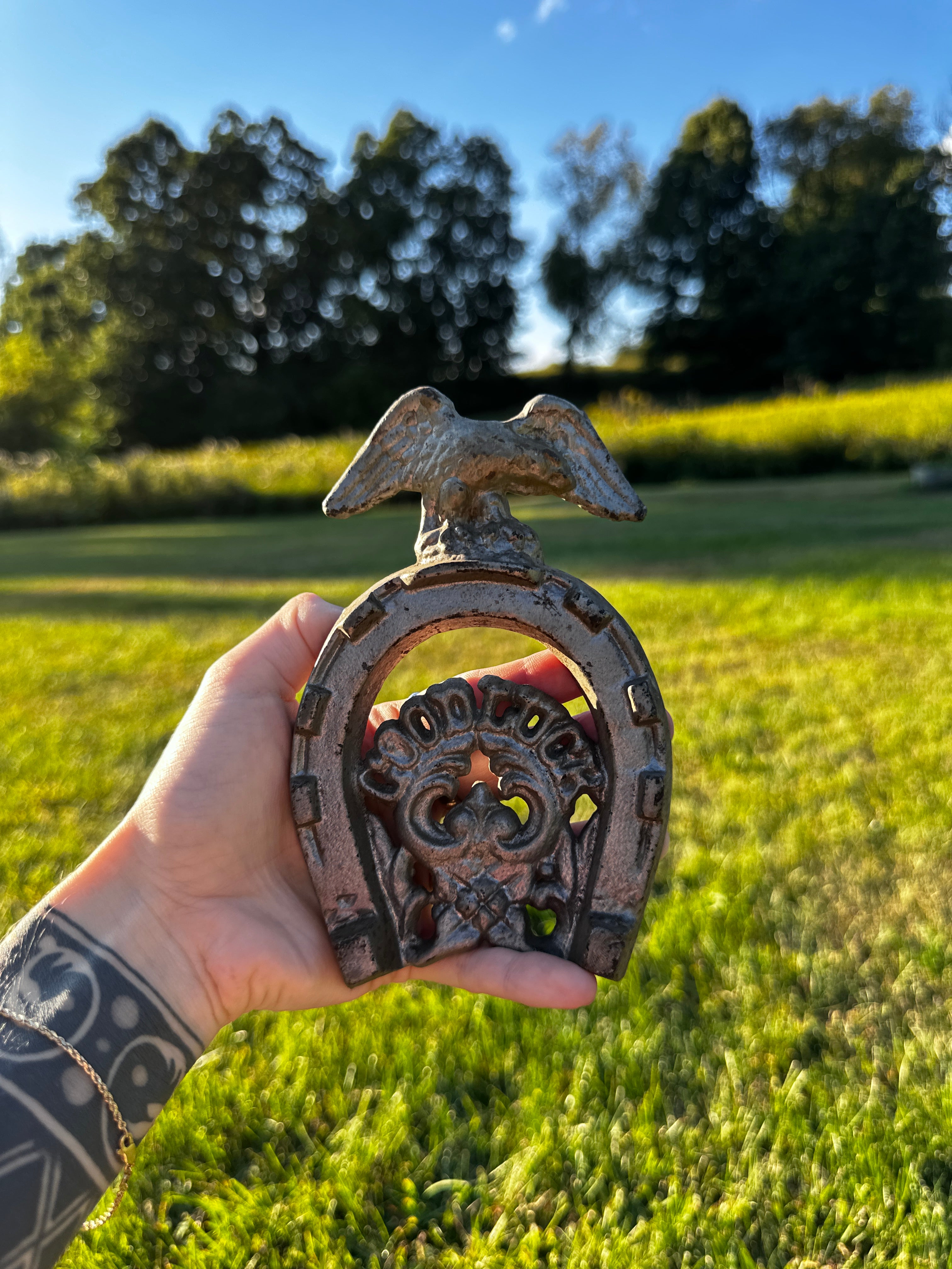 1970s Cast Iron Good Luck Horseshoe with Eagle – Rustic Wall Hanging Decor