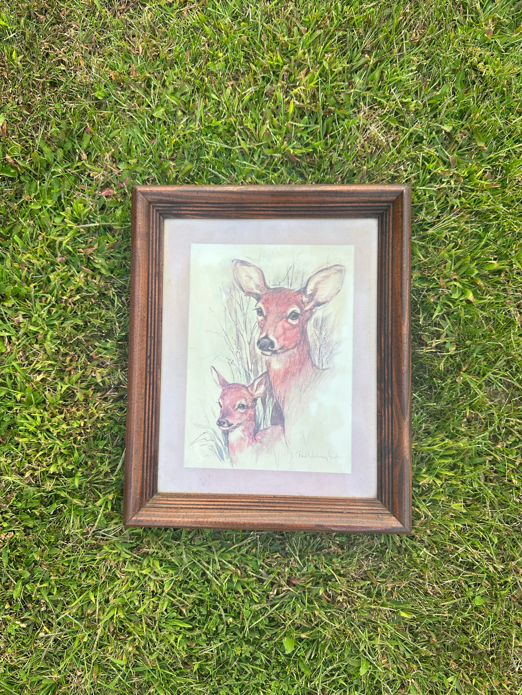 Framed Deer Print – Vintage Doe and Fawn Wildlife Wall Art