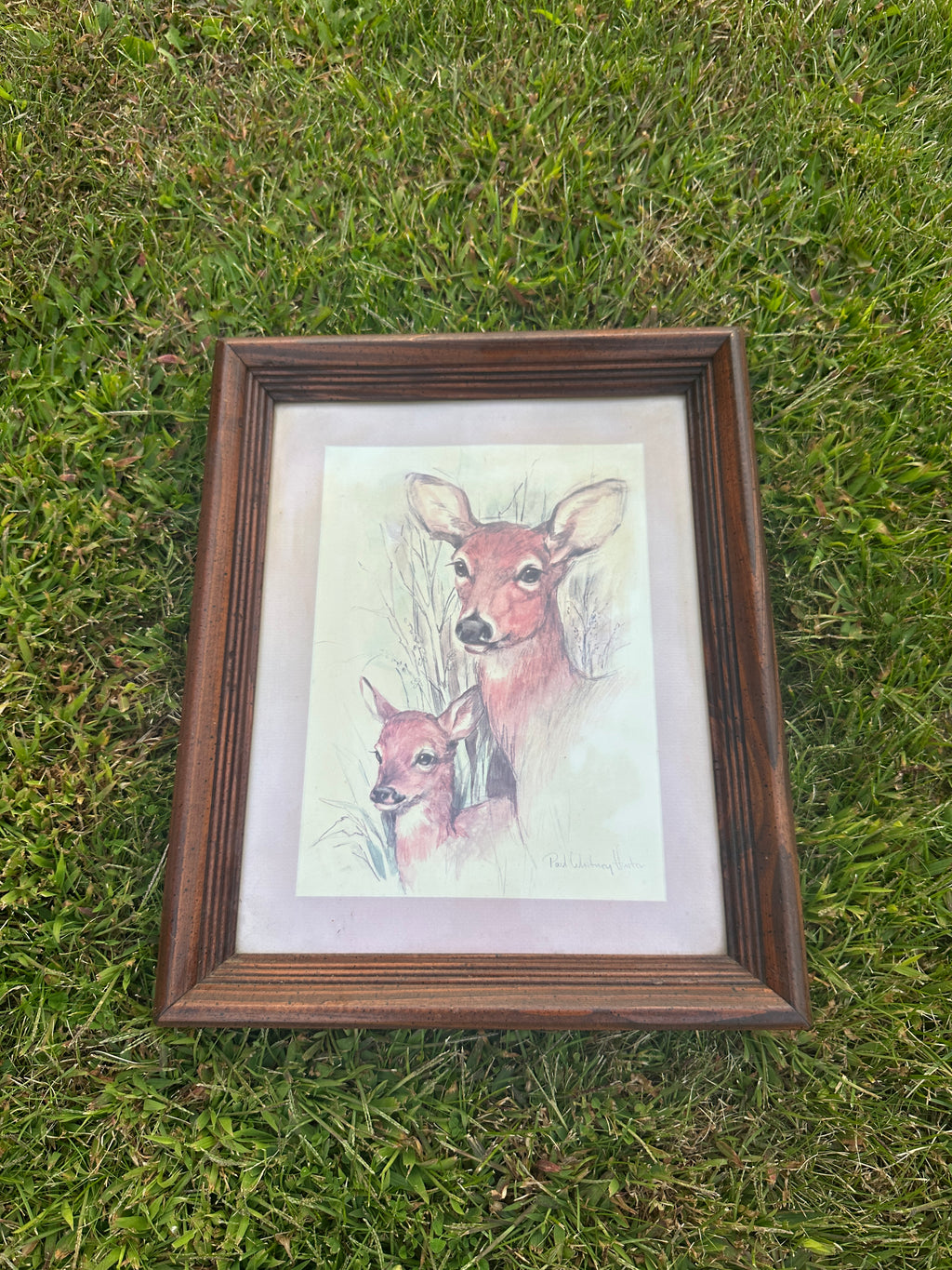 Framed Deer Print – Vintage Doe and Fawn Wildlife Wall Art