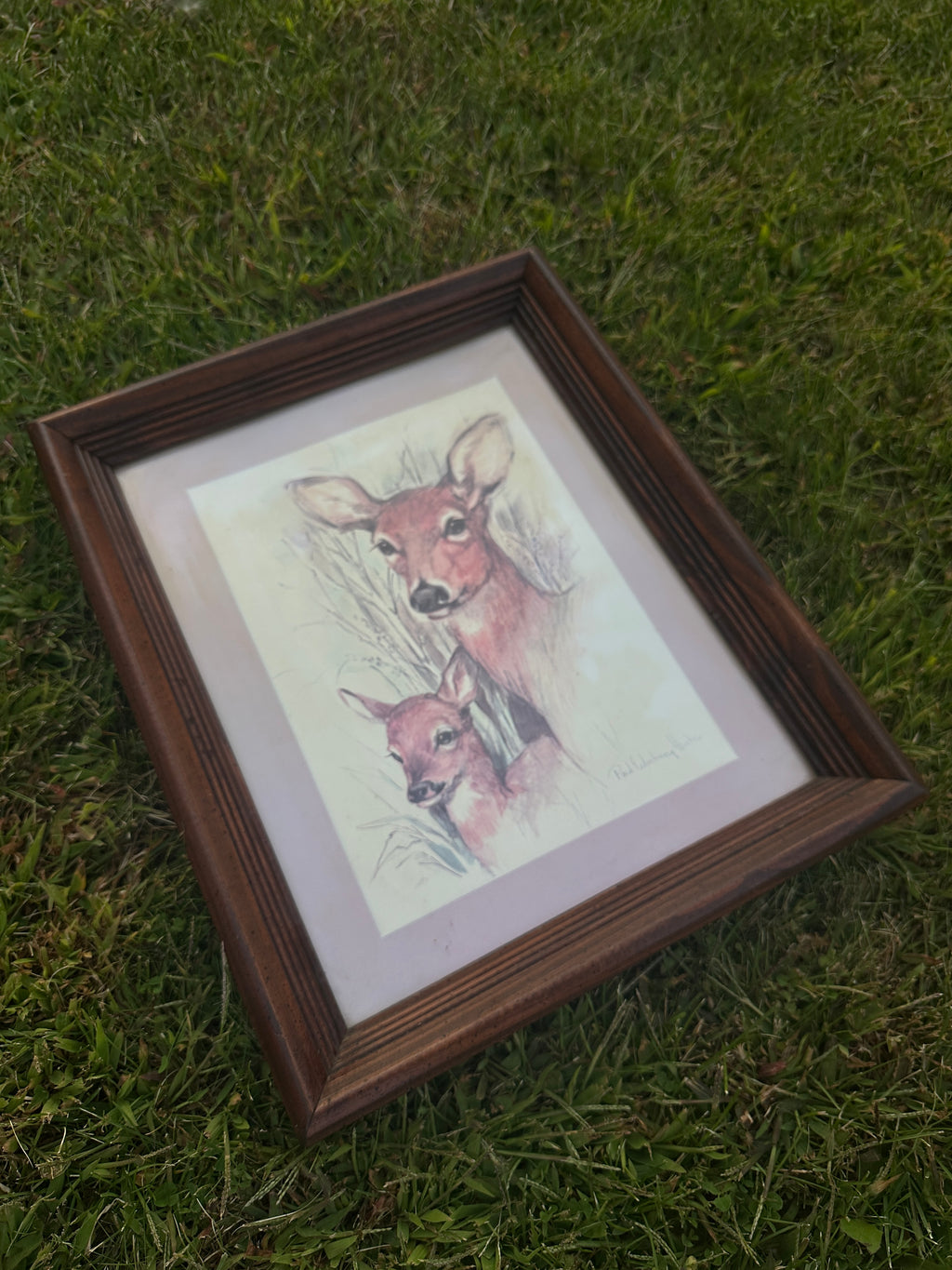 Framed Deer Print – Vintage Doe and Fawn Wildlife Wall Art