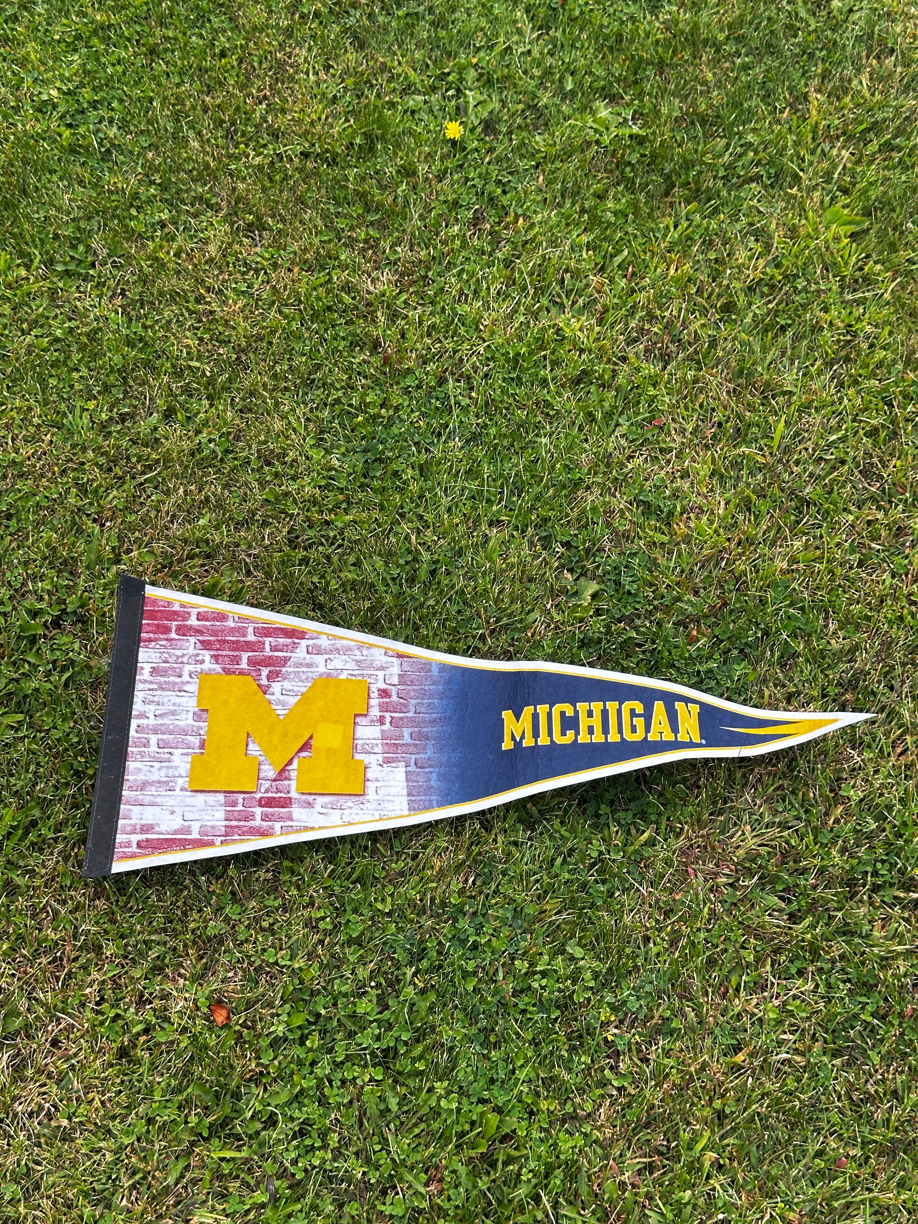 NCAA Michigan Wolverines Pennant