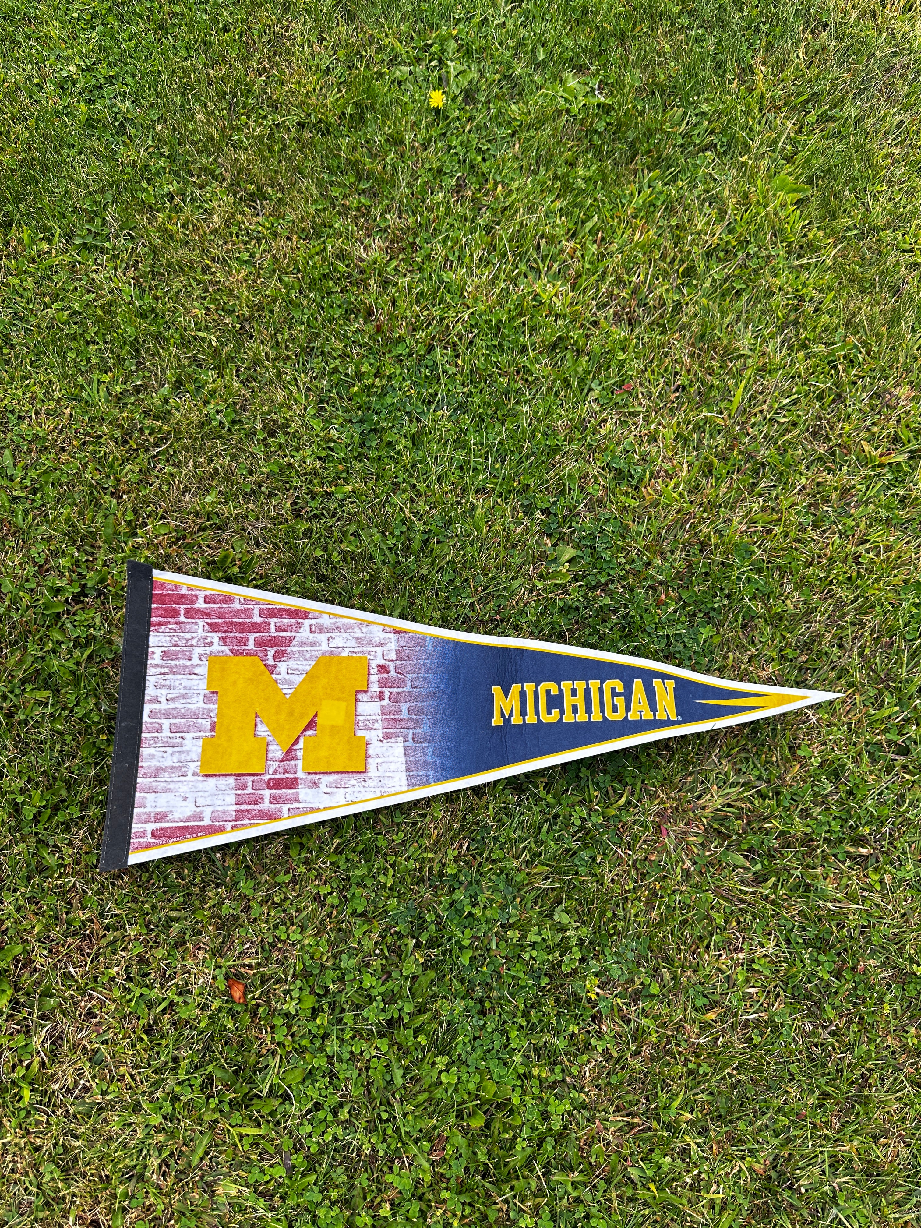 NCAA Michigan Wolverines Pennant