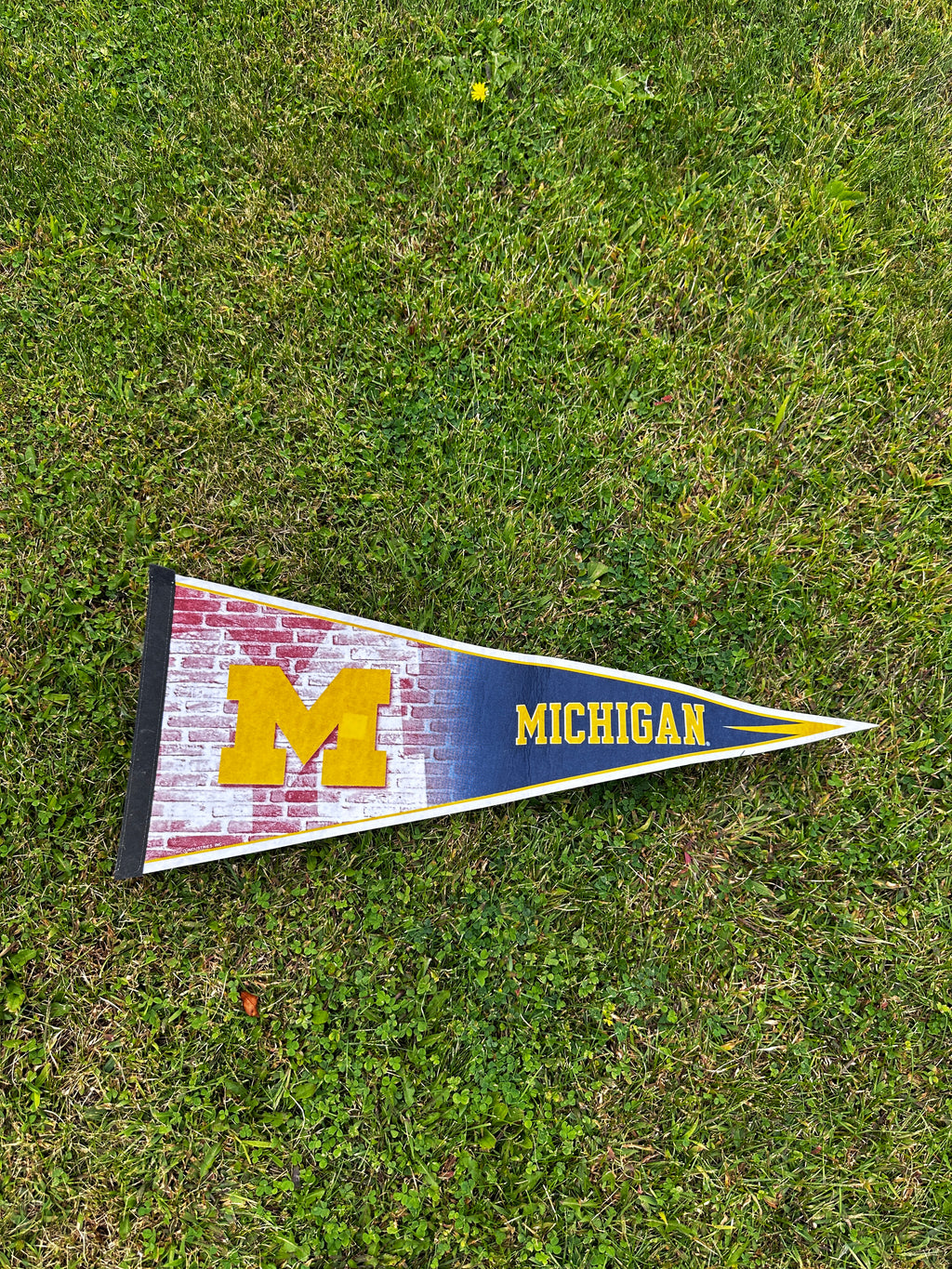 NCAA Michigan Wolverines Pennant