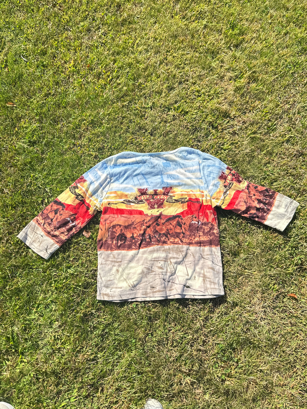 Vintage Stagecoach Western Scene Shirt – Long Sleeve Graphic Top