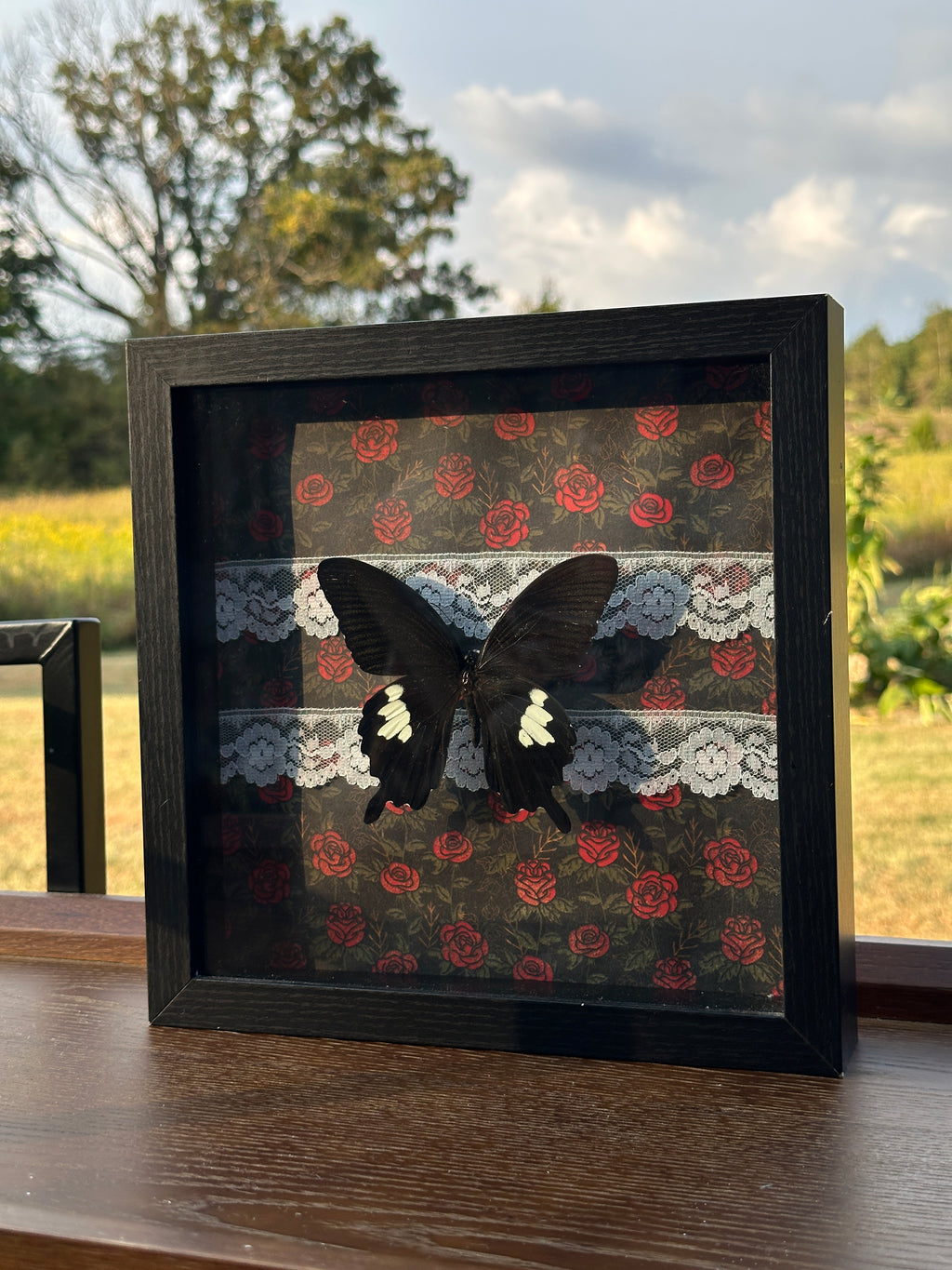 Black Butterfly Shadow Box – Gothic Rose & Lace Background