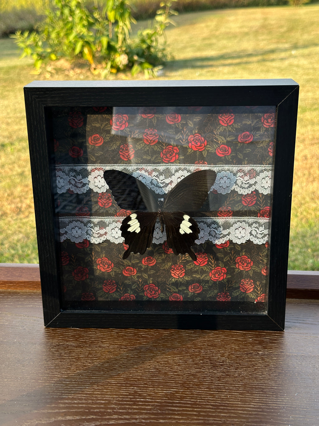 Black Butterfly Shadow Box – Gothic Rose & Lace Background