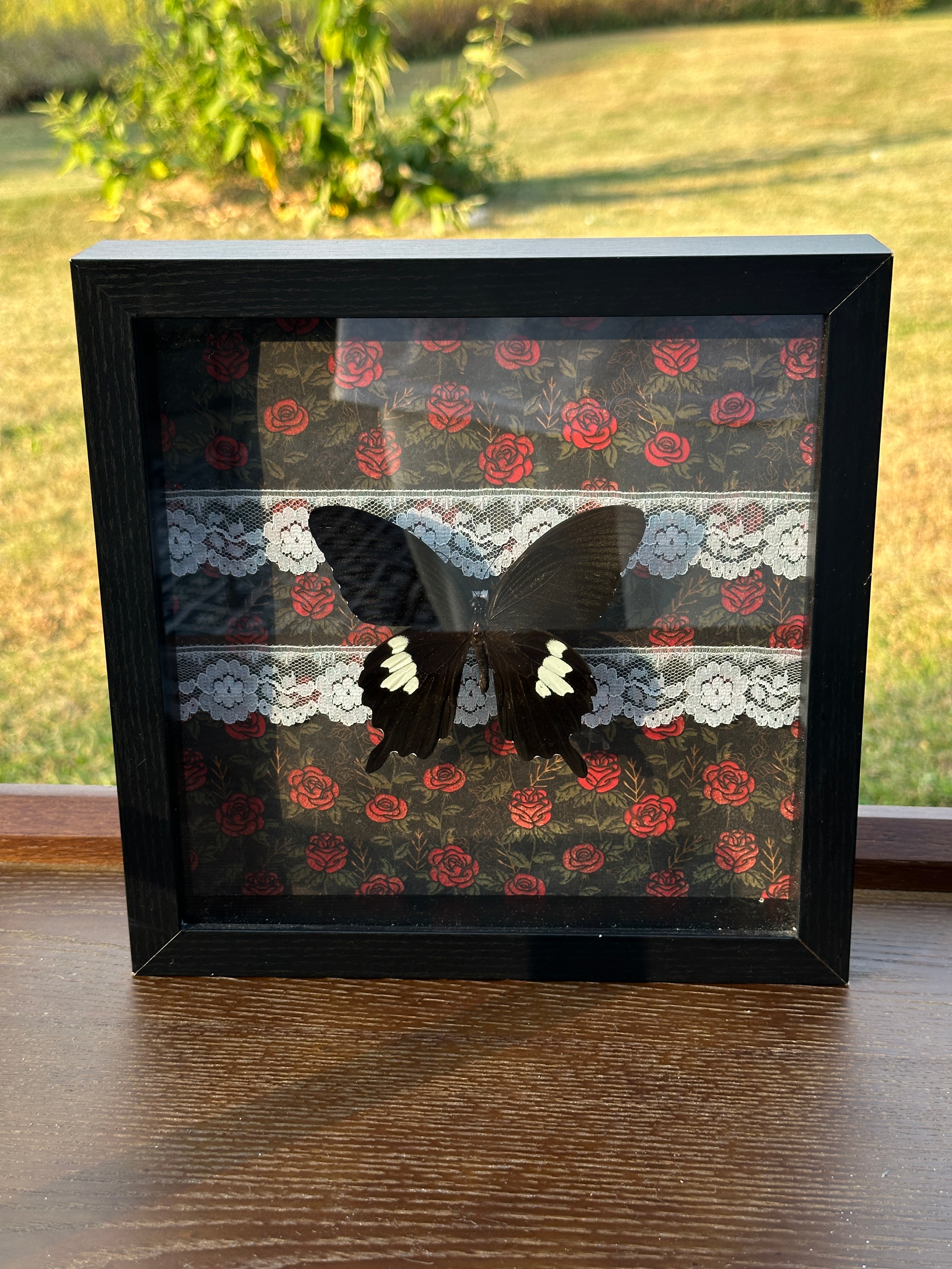 Black Butterfly Shadow Box – Gothic Rose & Lace Background