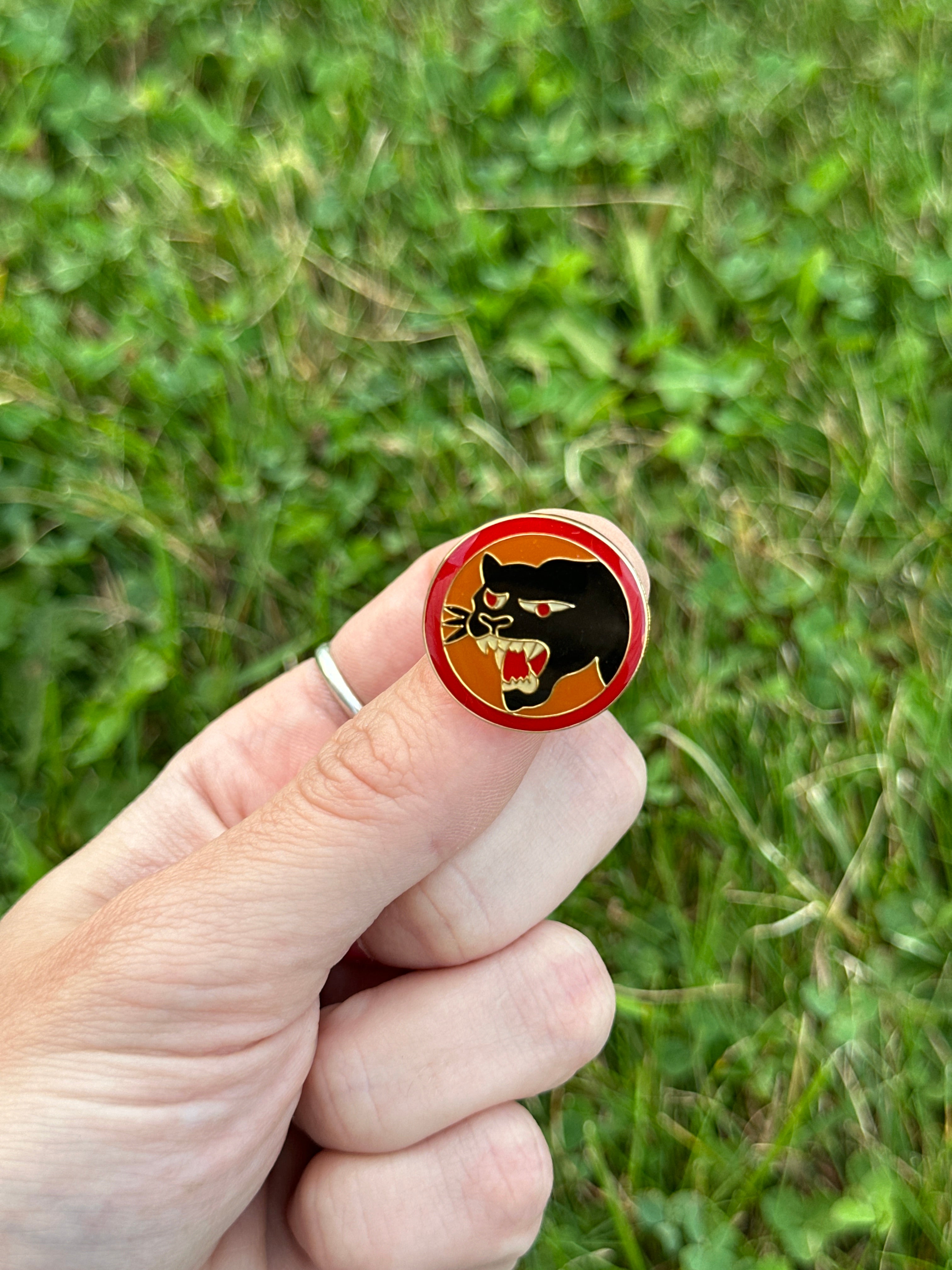 Military pin - 66th infantry division pin