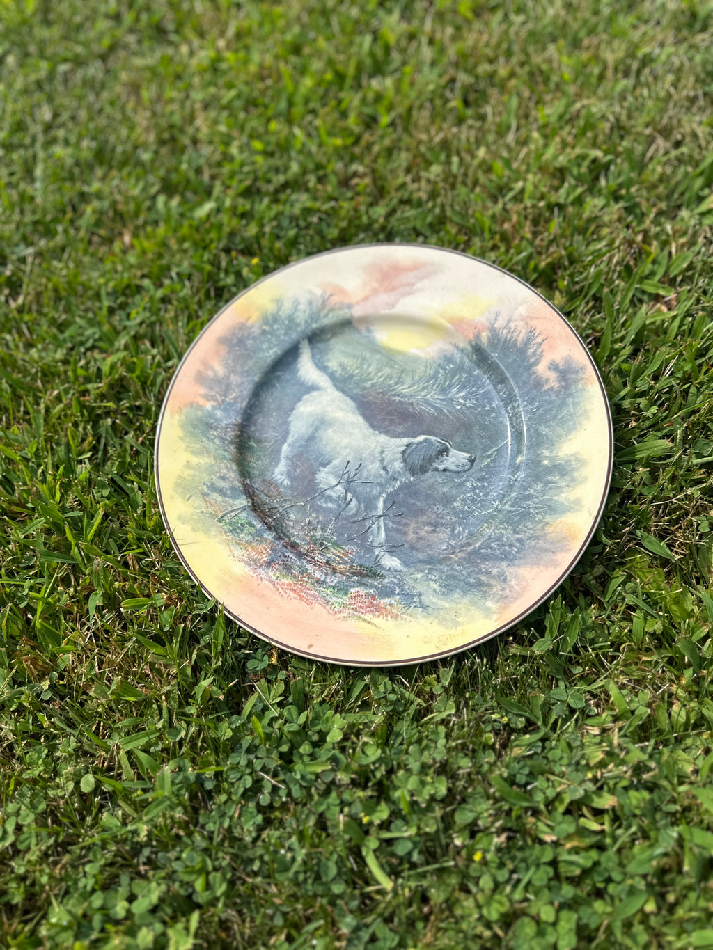 Vintage Royal Doulton English setter dog collectible plate