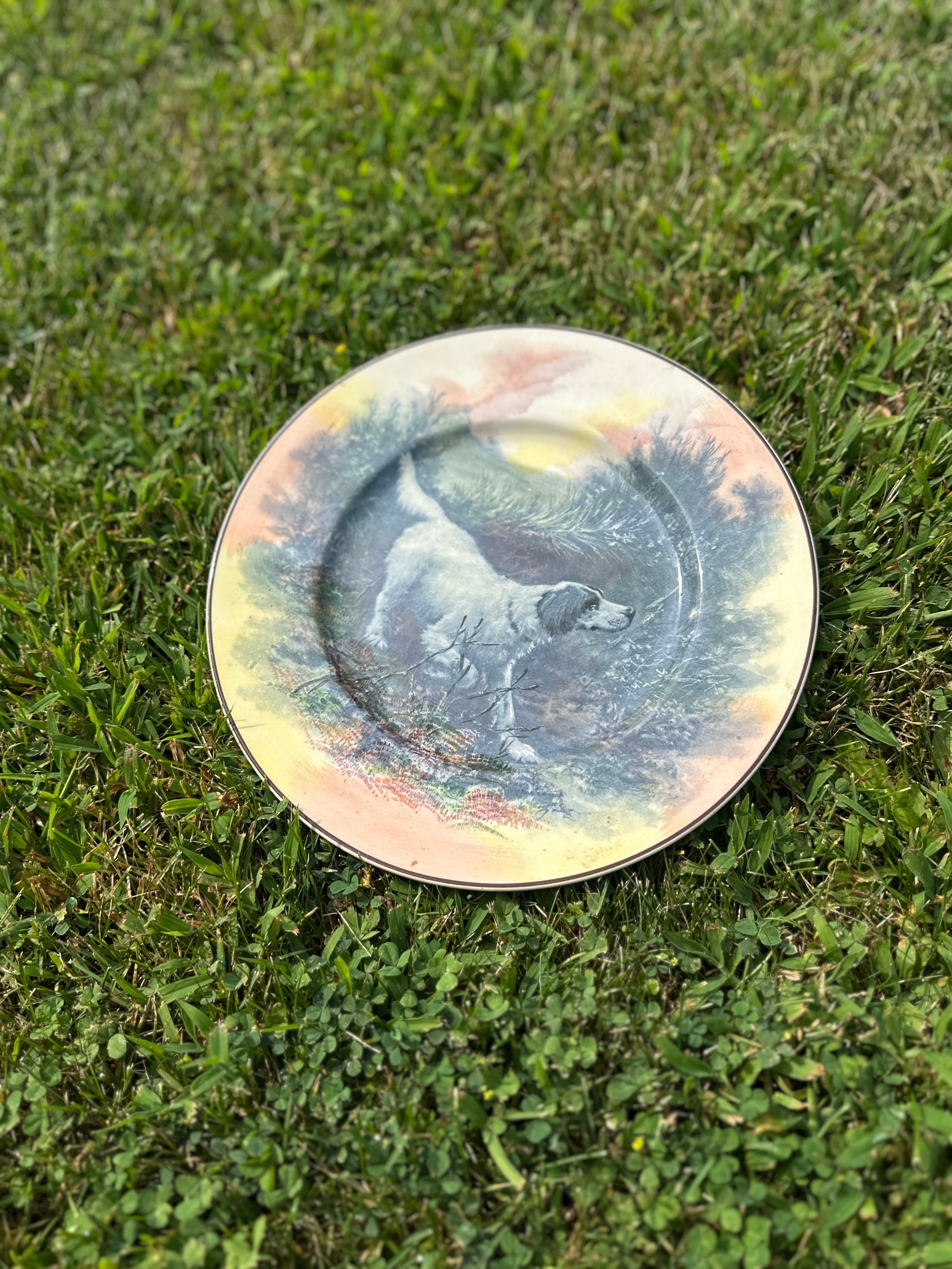 Vintage Royal Doulton English setter dog collectible plate