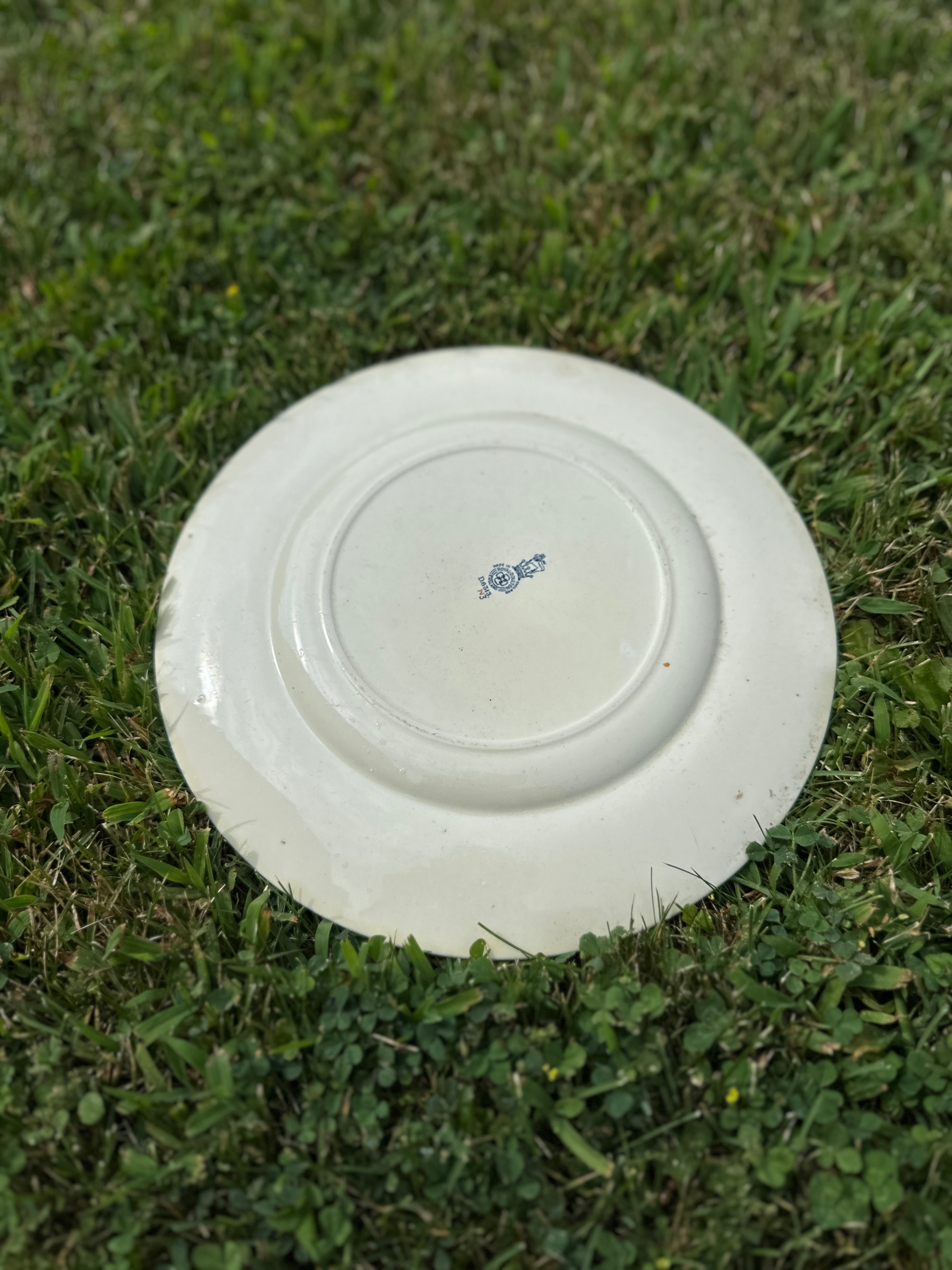 Vintage Royal Doulton English setter dog collectible plate