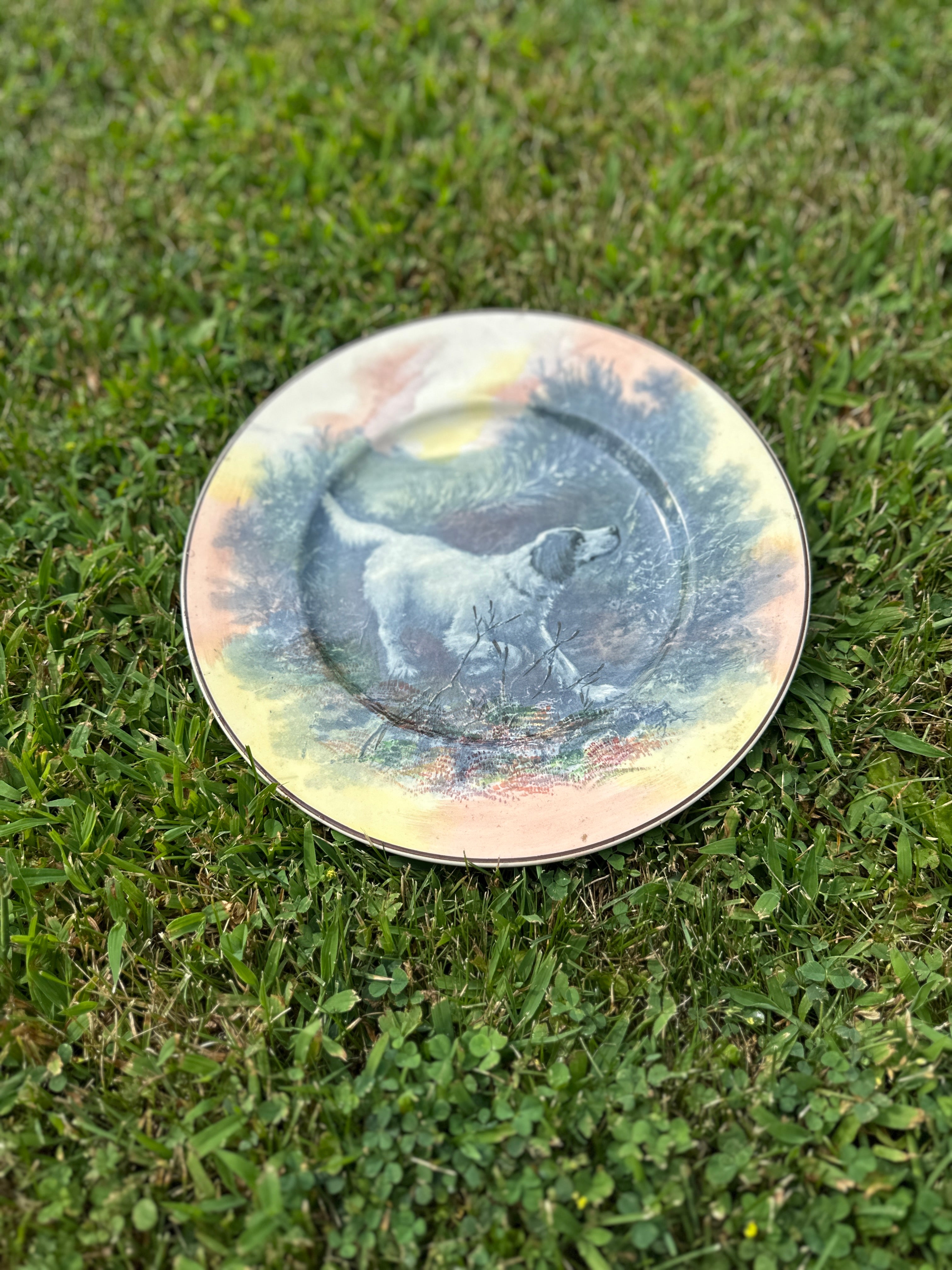 Vintage Royal Doulton English setter dog collectible plate
