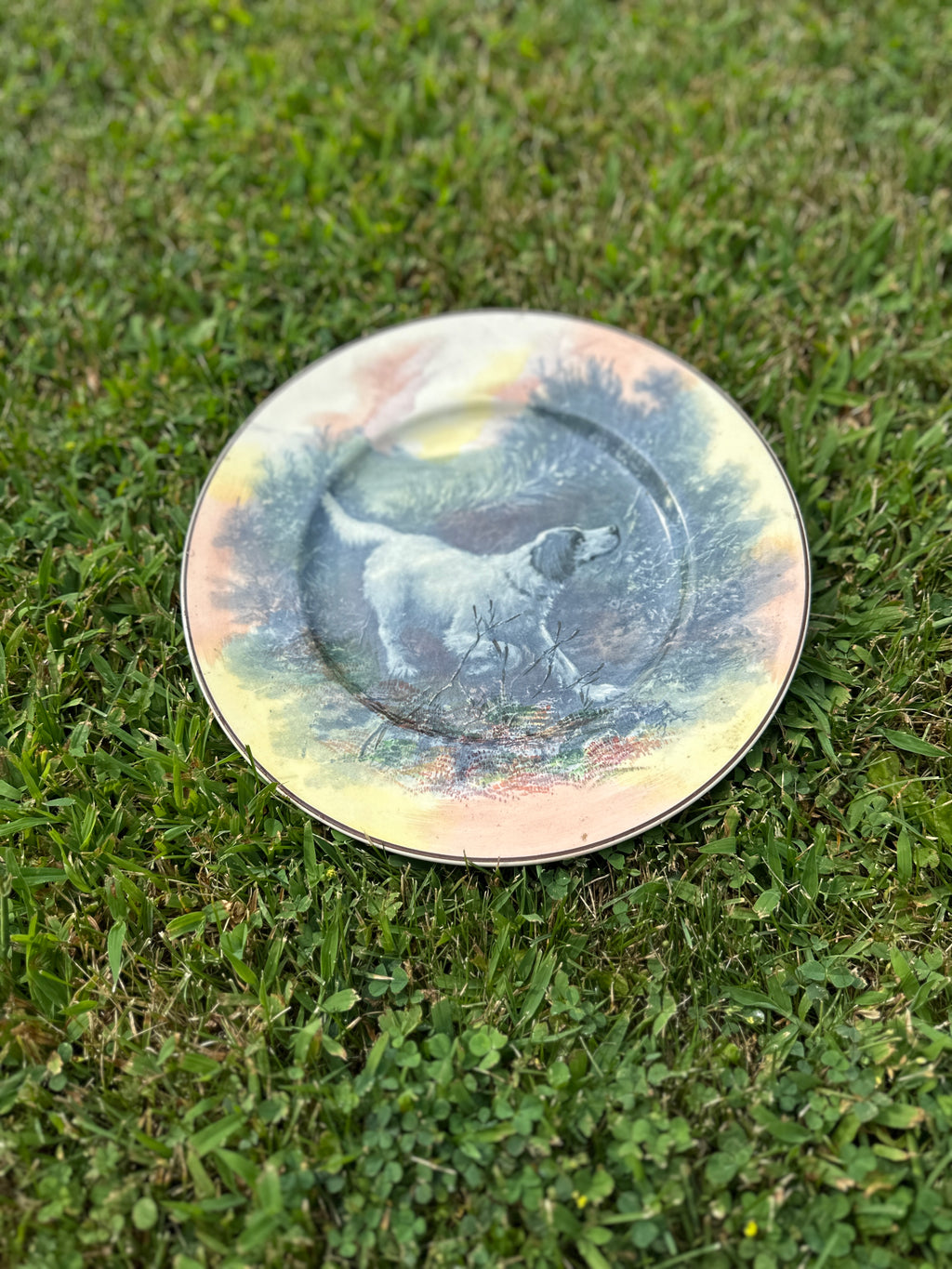 Vintage Royal Doulton English setter dog collectible plate