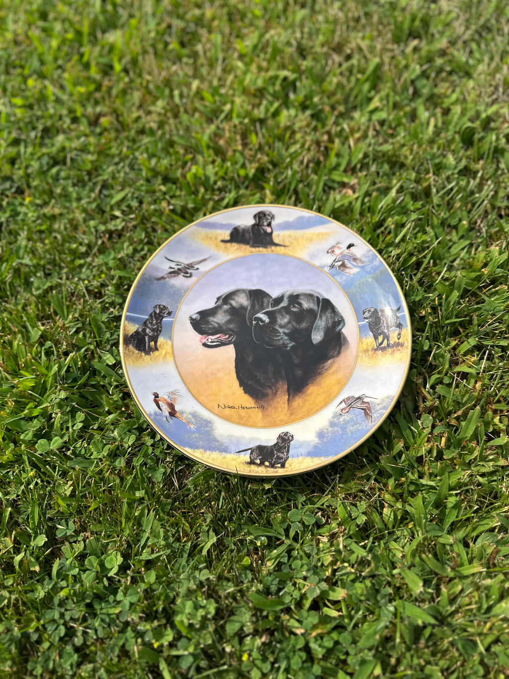 The sporting life Royal Doulton china Labrador dog plate