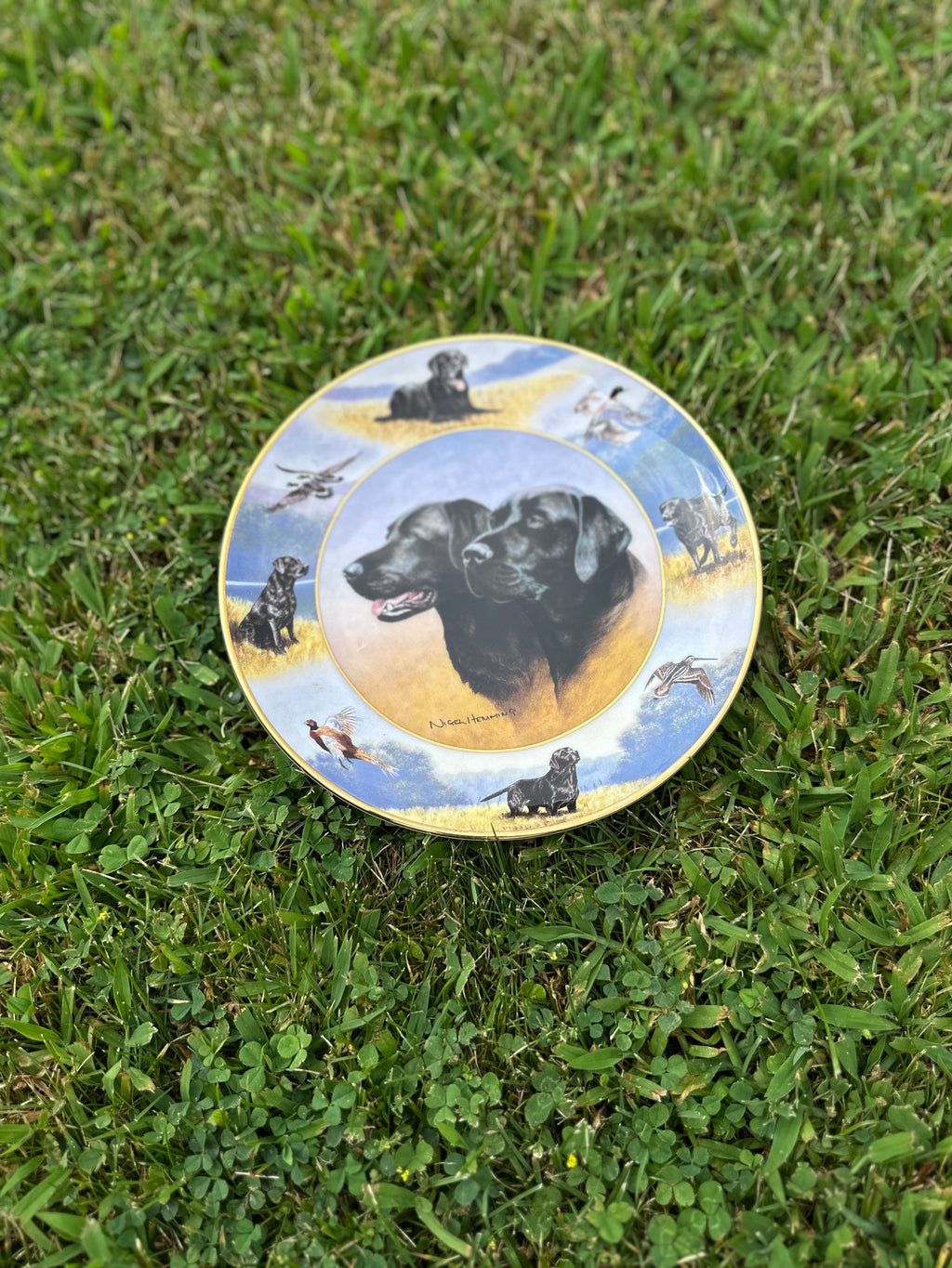 The sporting life Royal Doulton china Labrador dog plate