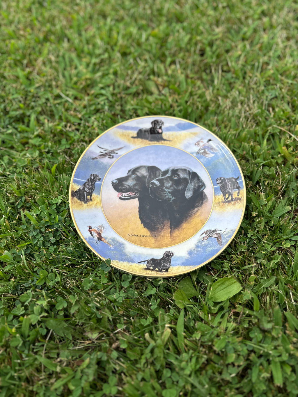 The sporting life Royal Doulton china Labrador dog plate