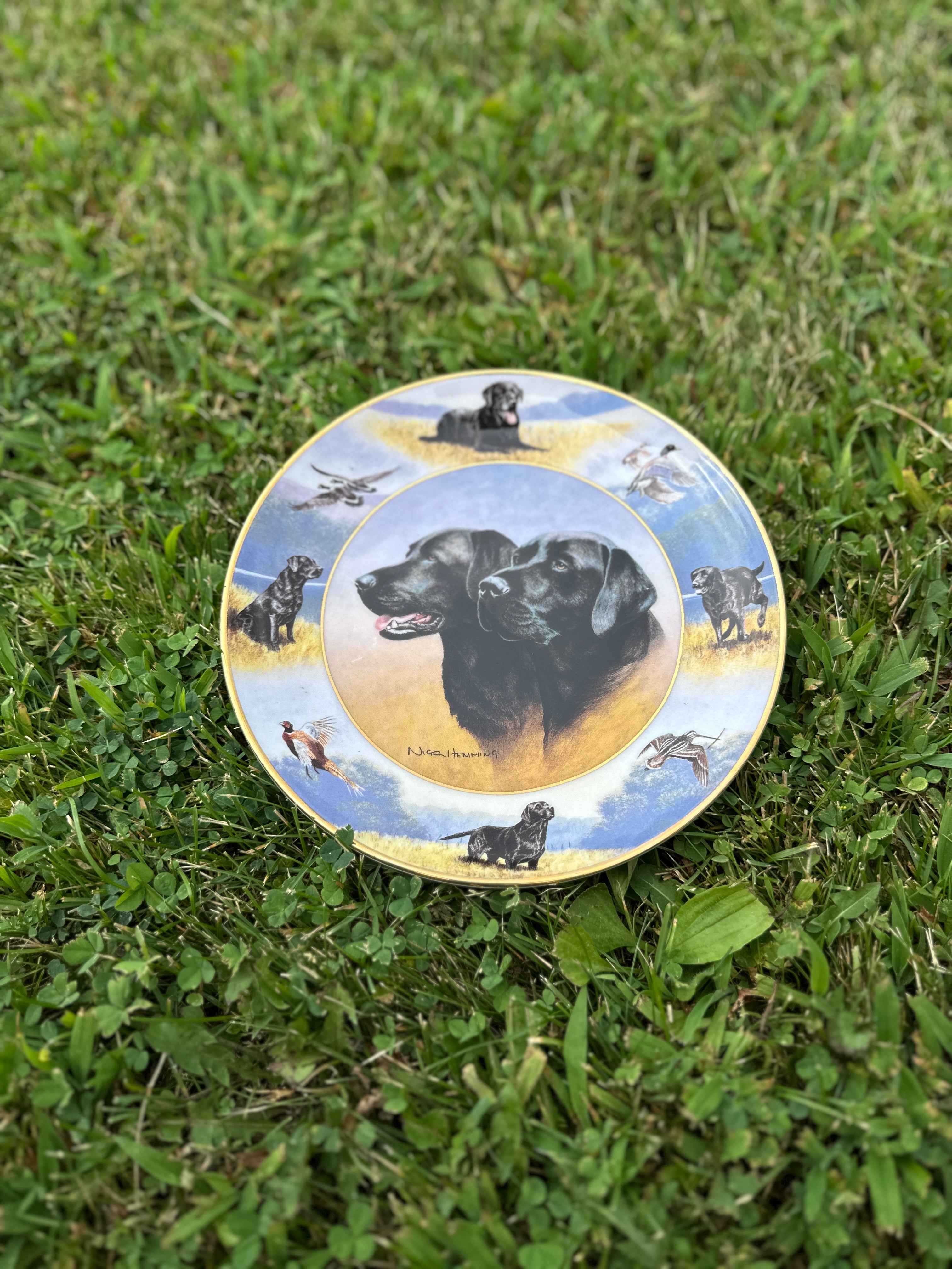 The sporting life Royal Doulton china Labrador dog plate