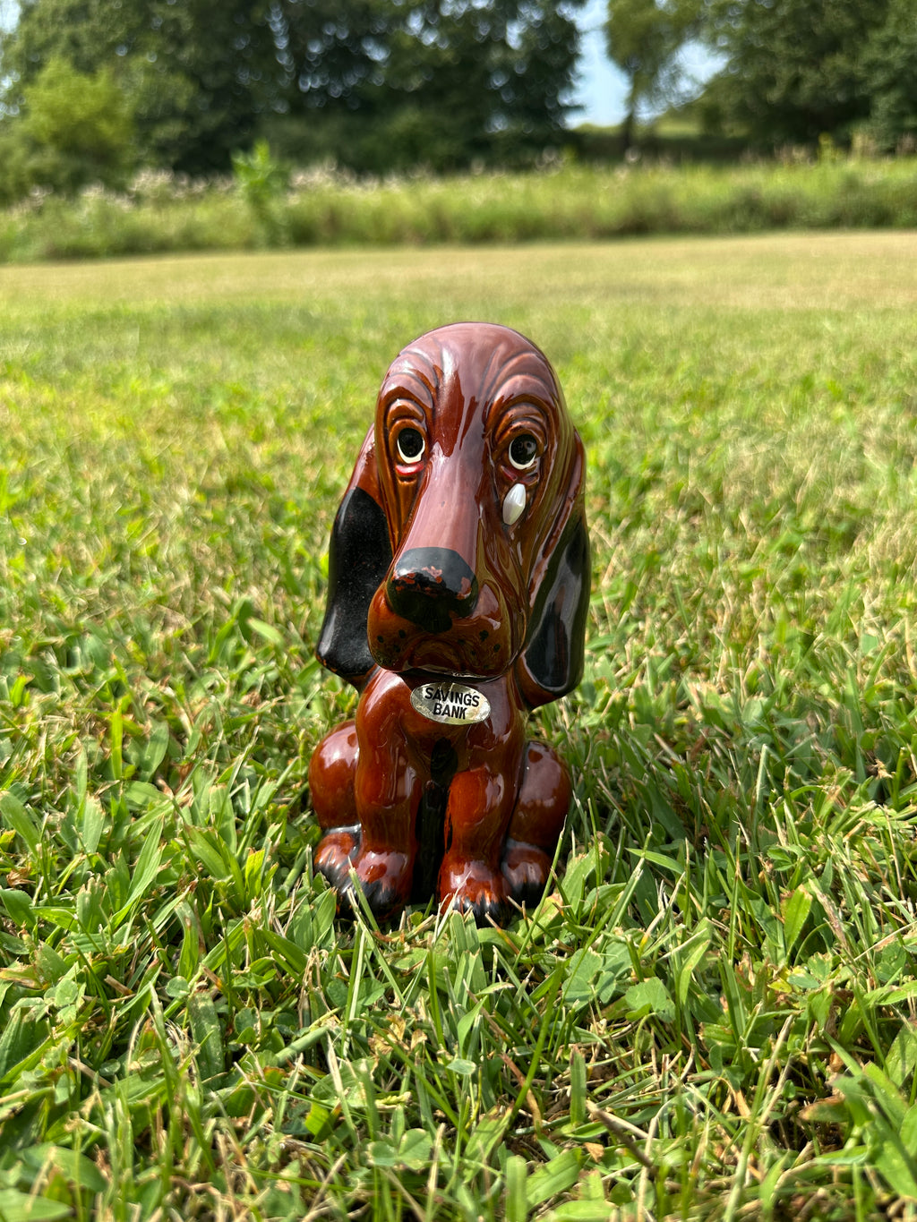 Basset Hound Dog Savings Vintage Ceramic Bank