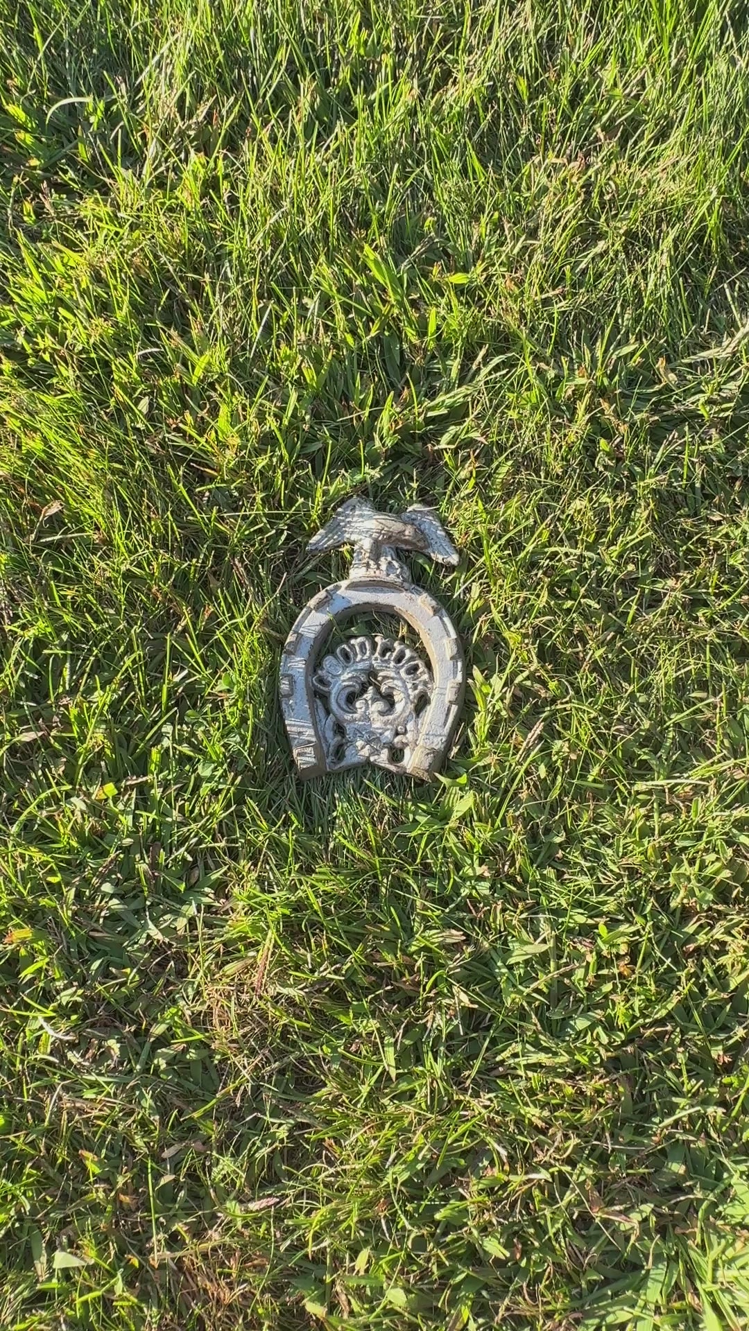 1970s Cast Iron Good Luck Horseshoe with Eagle – Rustic Wall Hanging Decor